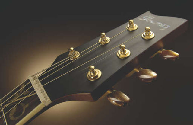 Ibanez EP9 Euphoria The only disappointing features of the EP9 are the tortoiseshell buttons on the tuners